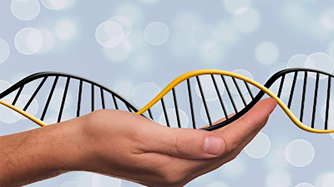 10 Razones para hacerte un test genético.